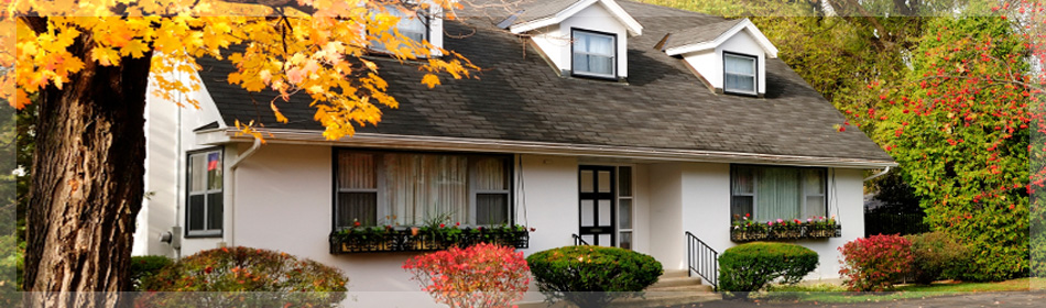 South Philadelphia Real Estate